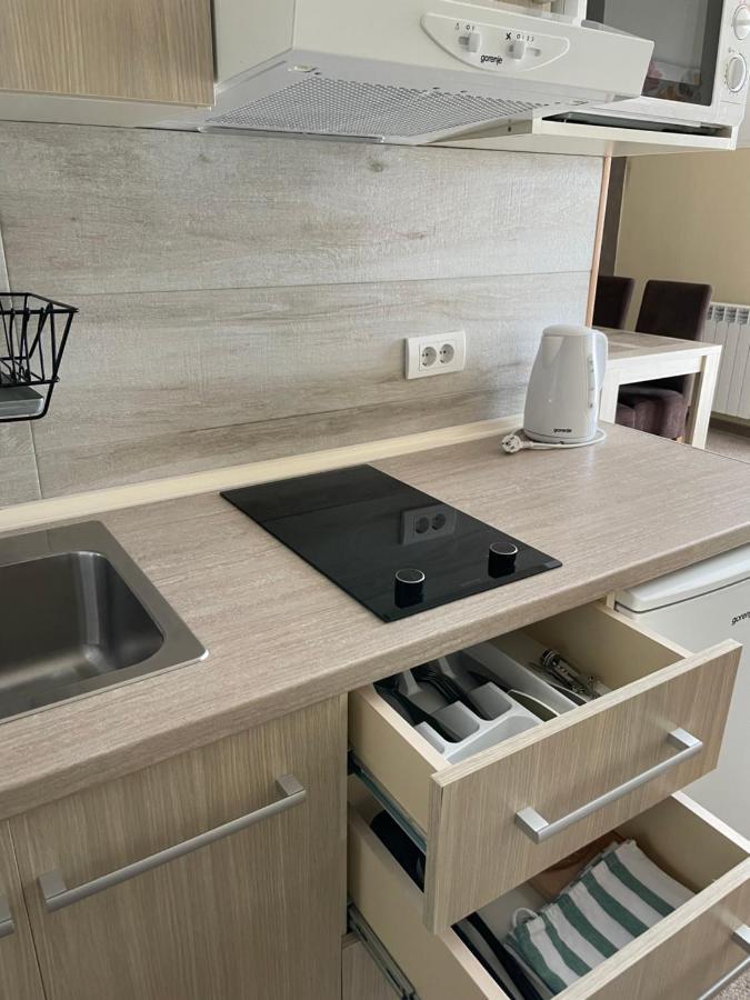 Vila Lucky Kop & Restoran Kopaonik Ngoại thất bức ảnh